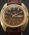 TW2Y87200-GOLD HODINKY – TIMEX Muži 1