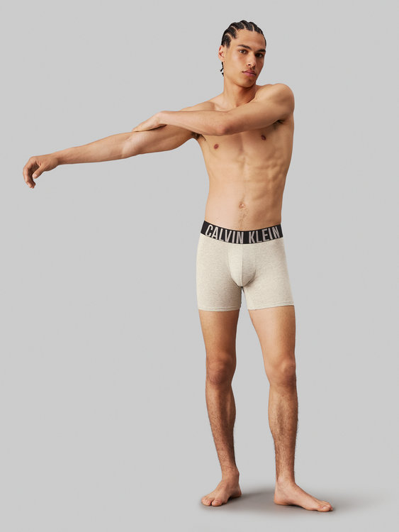 000NB3609A-QTK boxery BOXER BRIEF 3PK – Calvin Klein Underwear Muži