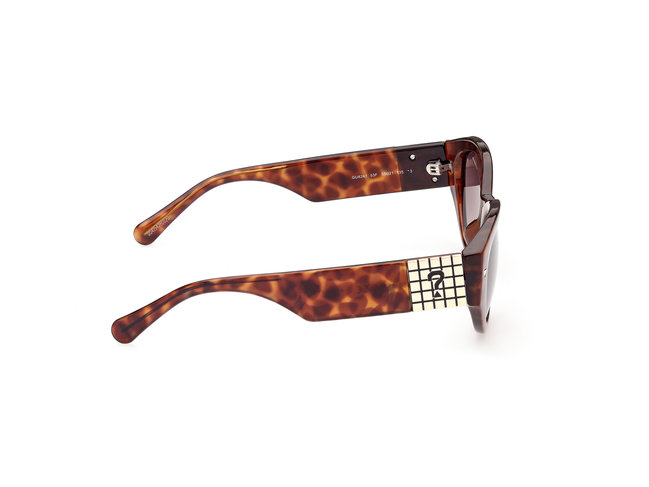 Hnědá barva, Injected sluneční brýle 1