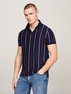 Vertical Stripe polo