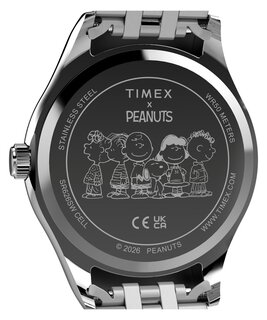 Luxusní TW2Y85500-SILVER HODINKY, UNI