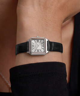 Módní TW2Y90600UK-SILVER HODINKY, 2026 1