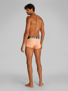 Módní 000NB3611A-VVM boxery LOW RISE TRUNK 3PK, 2025