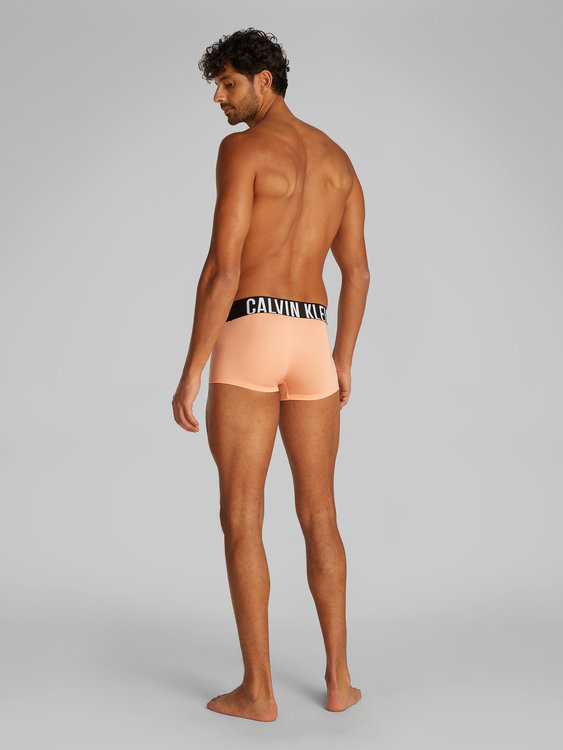 Módní 000NB3611A-VVM boxery LOW RISE TRUNK 3PK, 2025