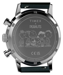Luxusní TW2Y85300-SILVER HODINKY, UNI