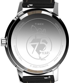 Luxusní TW2Y199007U-STAINLESS STEEL HODINKY, UNI