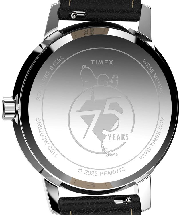 Luxusní TW2Y199007U-STAINLESS STEEL HODINKY, UNI