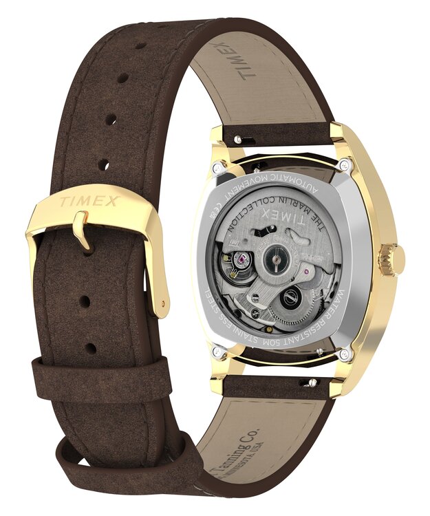 TW2Y84500UK-GOLD HODINKY Muži