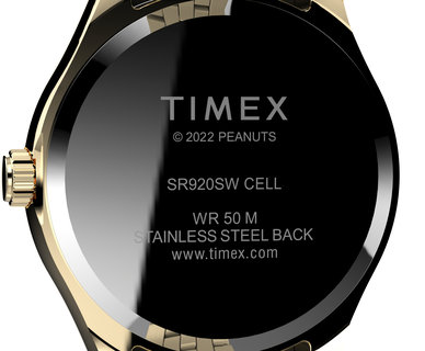 TW2V47300UK-Gold-Tone HODINKY Ženy