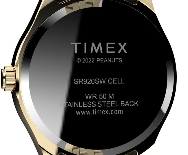 TW2V47300UK-Gold-Tone HODINKY Ženy