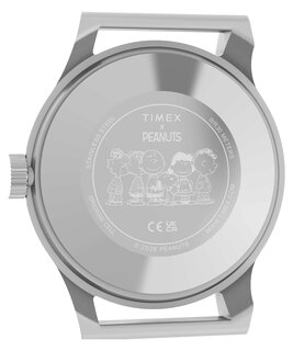 TW2Y85400-SILVER HODINKY