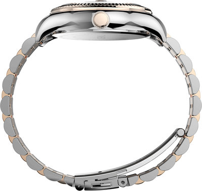 TW2T87000-Stainless Steel HODINKY