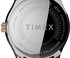 TIMEX – TW2T87000-Stainless Steel HODINKY 1