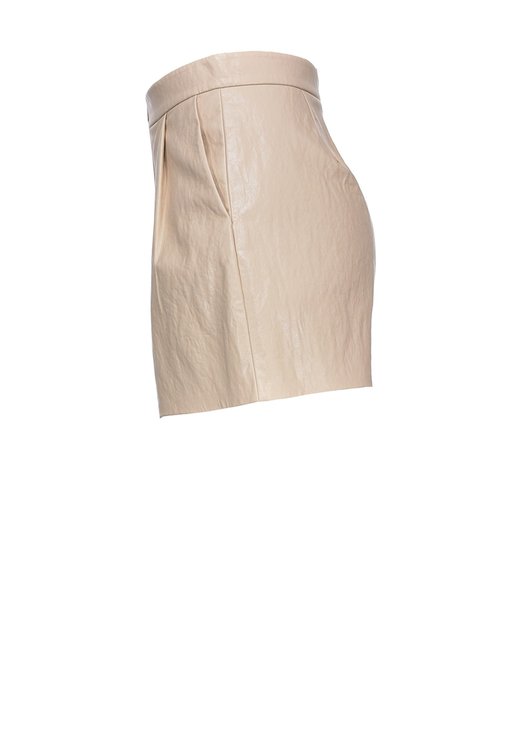 1G160RY6W7-C51 šortky