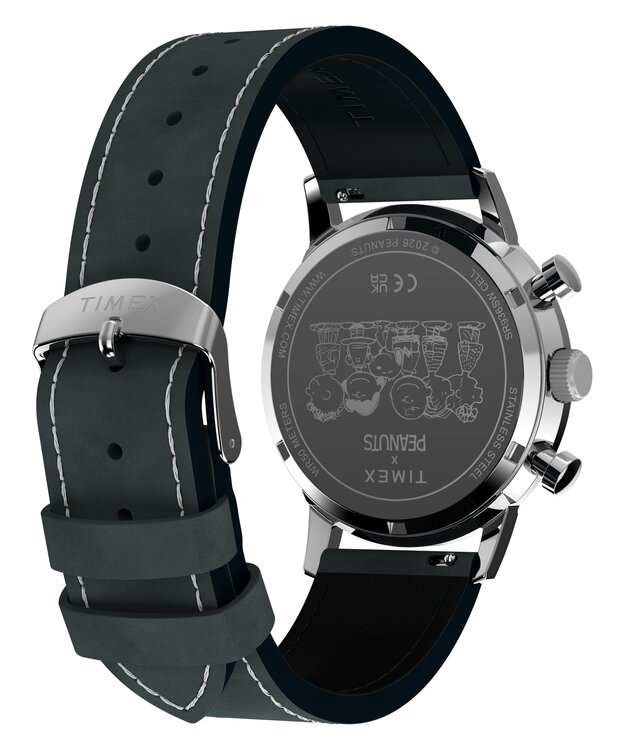 TW2Y85300-SILVER HODINKY Muži
