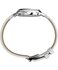 TW2Y68800UK-SILVER HODINKY – TIMEX Ženy