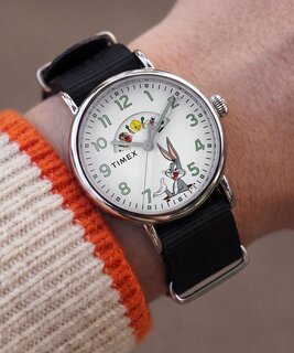 Módní TW2Y99100QY-SILVER HODINKY, 2026 1
