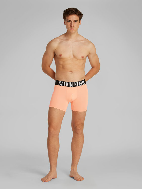 Luxusní 000NB3612A-VVM boxery BOXER BRIEF 3PK, S, M, L, XL