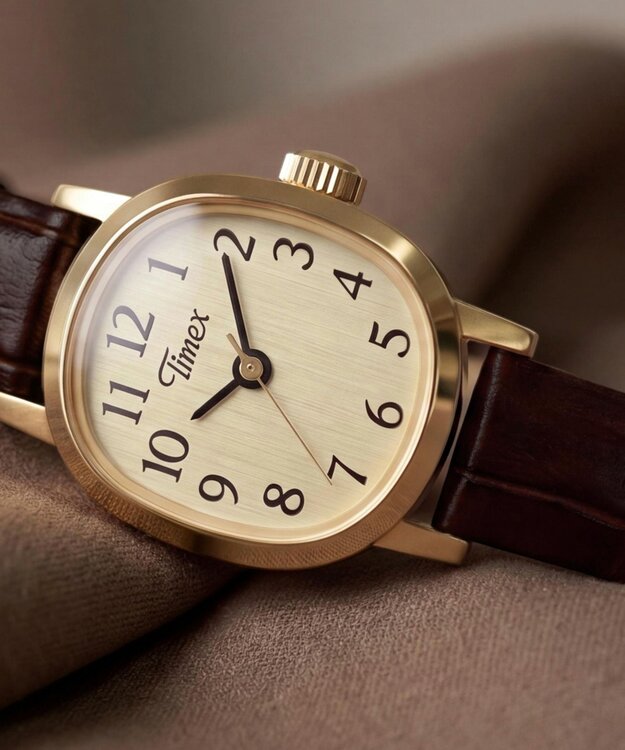TIMEX TW2Y87700-GOLD HODINKY