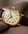 TIMEX TW2Y87700-GOLD HODINKY