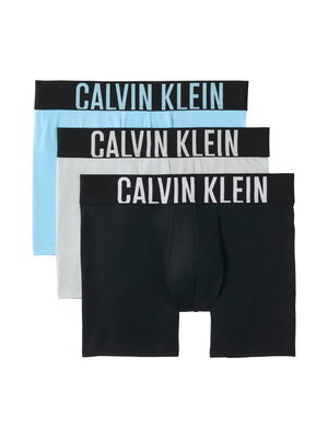 000NB3609A-53V boxery BOXER BRIEF 3PK Muži