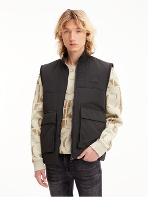 J30J320921-BEH vesta