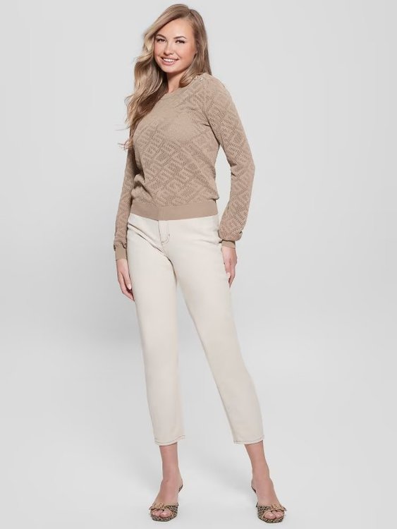 Módní Paula svetr, Hnědá barva, 2023