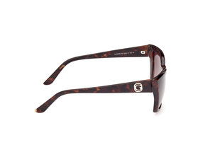 Hnědá, Zvířecí  barva, Sluneční brýle