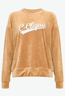 Pinko – Passegiarre mikina, Hnědá barva