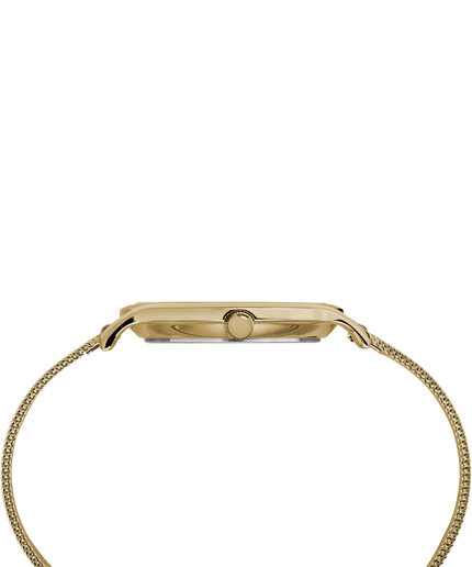 Luxusní TW2R36100-Gold-Tone HODINKY, UNI