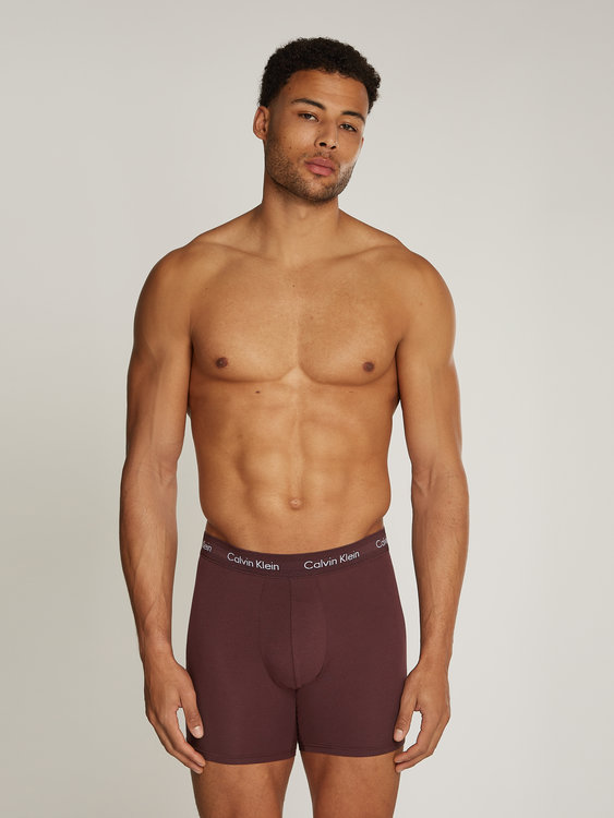 000NB1770A-Q3U boxery BOXER BRIEF 3PK – Calvin Klein Underwear Muži