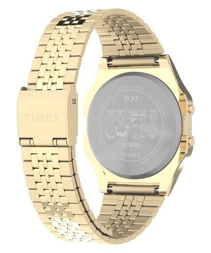 TW2Y76800UK-GOLD HODINKY Unisex