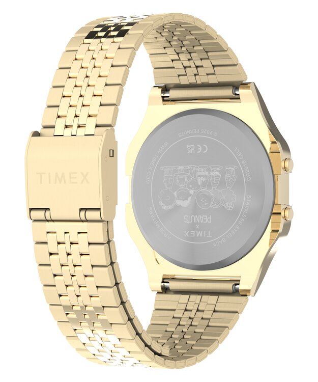 TW2Y76800UK-GOLD HODINKY Unisex