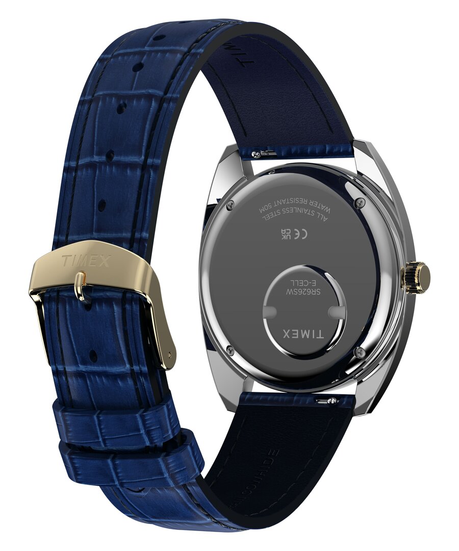 TW2Y87100-SILVER HODINKY Muži
