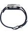 TW2Y81000-SILVER HODINKY – TIMEX Muži