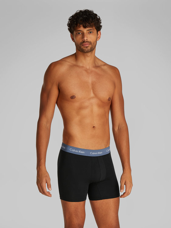 000NB1770A-VXQ boxery BOXER BRIEF 3PK – Calvin Klein Underwear Muži