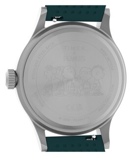 Luxusní TW2Y84800-SILVER HODINKY, UNI