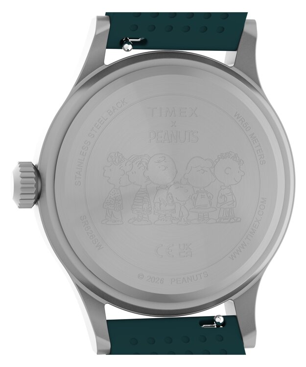Luxusní TW2Y84800-SILVER HODINKY, UNI