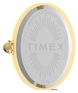 Luxusní TW2Y86200-GOLD HODINKY, UNI