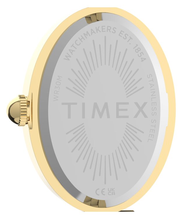 Luxusní TW2Y86200-GOLD HODINKY, UNI