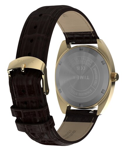 TW2Y82100UK-GOLD HODINKY Muži