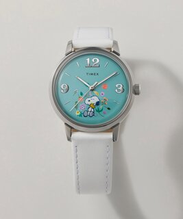 TW2Y68800UK-SILVER HODINKY