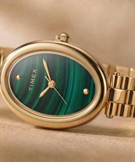 TIMEX TW2Y86100-GOLD HODINKY