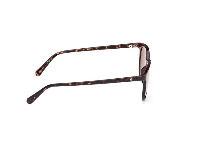 Hnědá, Zvířecí  barva, Sluneční brýle