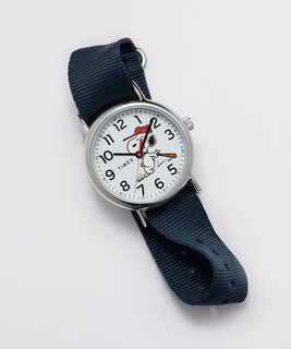 TIMEX TW2Y51400UK-SILVER HODINKY