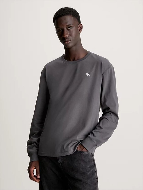 Módní Institutional Ls Graphic triko, Šedá barva, 2024