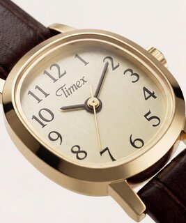 TW2Y87700-GOLD HODINKY – TIMEX Ženy 1