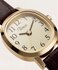 TW2Y87700-GOLD HODINKY – TIMEX Ženy 1