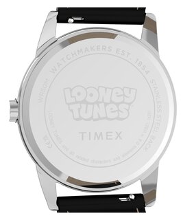 Luxusní TW2Y99300QY-SILVER HODINKY, UNI