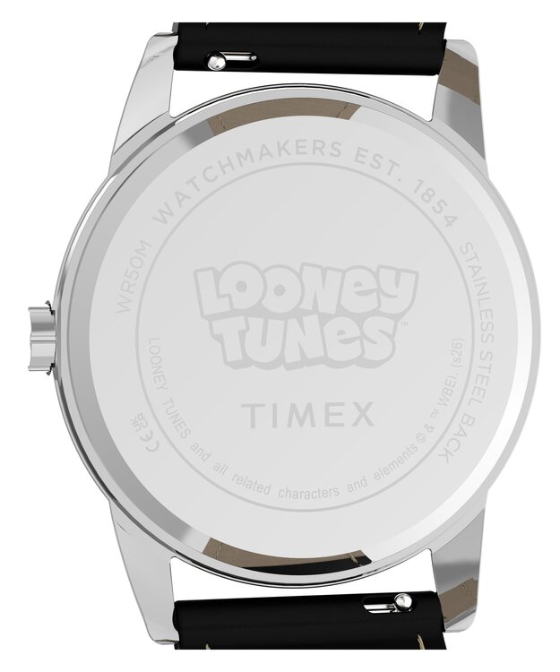 Luxusní TW2Y99300QY-SILVER HODINKY, UNI